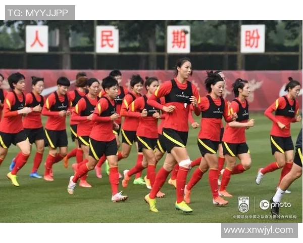 中国队奥运备战进展与整体表现分析评估报告