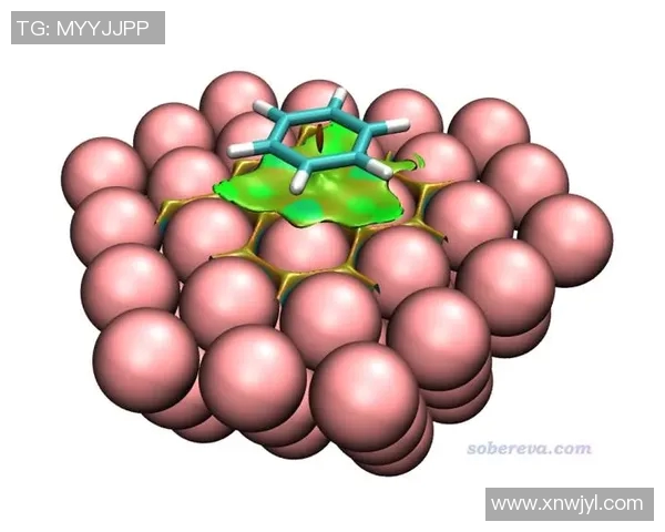 职业棒球联盟投手疲劳指数模型的构建与验证研究