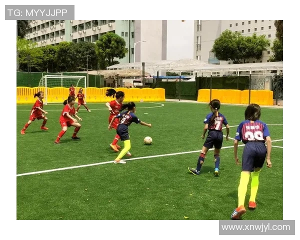 从绿茵少年到巨星舞台揭秘欧洲杯背后的成长与荣耀之路