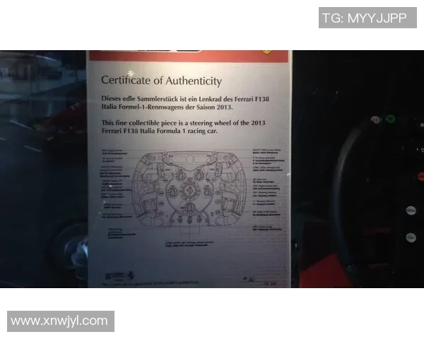 F1赛车手心理调节与比赛表现研究 F1赛车手心理调节与比赛表现研究